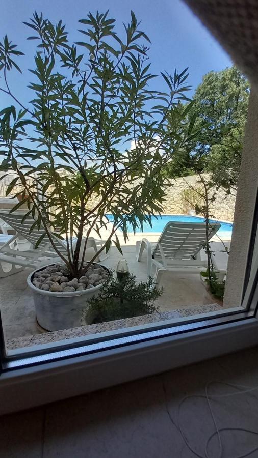 Family Apartments Svob With Pool Novi Vinodolski Zewnętrze zdjęcie